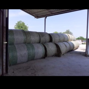Prodaje se ovogodišnje sijeno u rolo balama bale su omotane mrezom 120×120