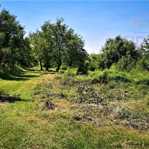 Zemljište za vikendicu površine 1248 m2 - Aljmaš