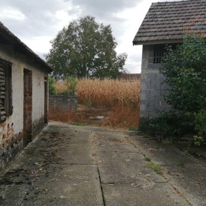 Obiteljska kuća s pomoćnim zgradama - Lipovača (Vukovar)