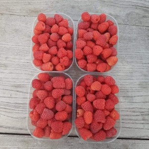 Smrznute maline 1.klasa