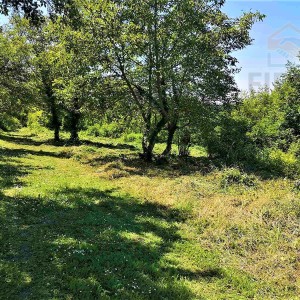 Zemljište za vikendicu površine 1248 m2 - Aljmaš
