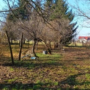 Kuća i okućnica