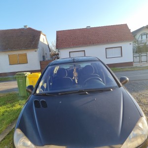 Prodajem auto Peugeot 206/ 2004g