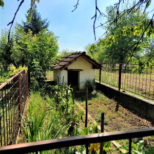 Obiteljska kuća s velikom okućnicom - Sarvaš