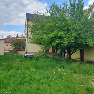Obiteljska kuća s poslovnim prostorom - Mirkovci