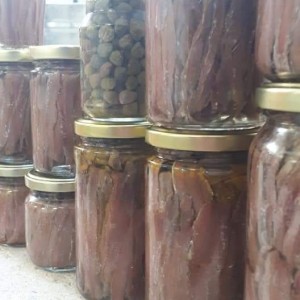 Inćuni i srdele u ulju