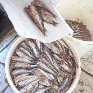 Inćuni i srdele u ulju