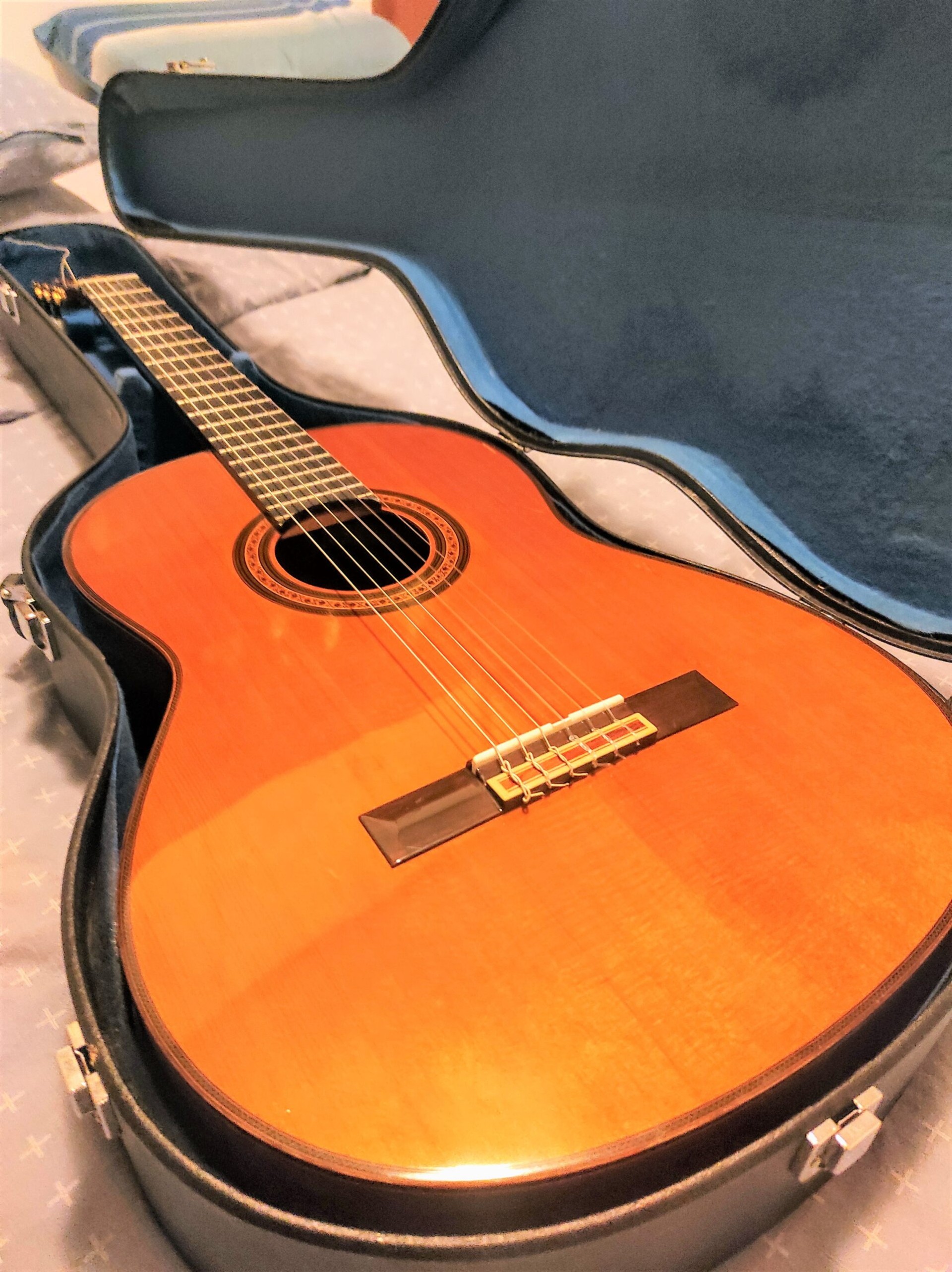 Koncertna gitara Yamaha G245S Vintage
