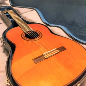 Koncertna gitara Yamaha G245S Vintage