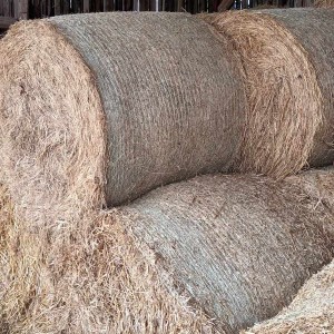 Prodajem roto bale sijena