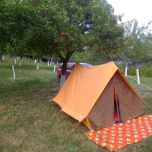 PLOČICE ZA LOVAČKE TROFEJE