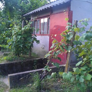 Vinograd, Dugo Selo,Carski put