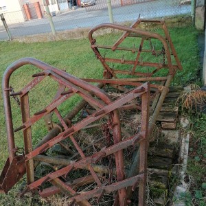 Plug, tanjurača, zubača