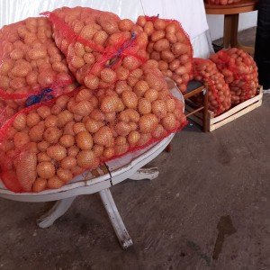 Prodajem domaći bijeli krumpir