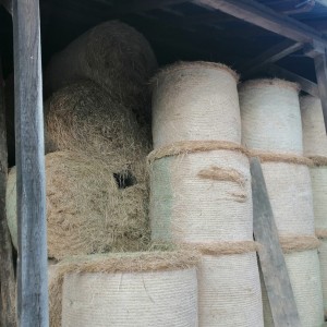 SIJENO, rolo bale