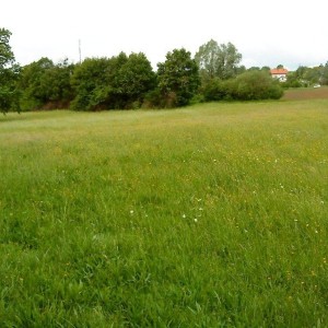 Križ, poljoprivredno zemljište 16.601 m2, moguća gradnja