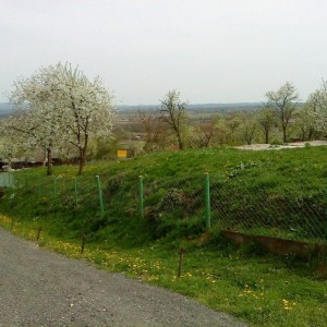Križ, građevinsko zemljište 1.977 m2