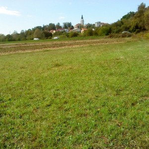 Križ, poljoprivredno zemljište 16.601 m2, moguća gradnja