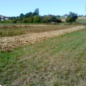Križ, poljoprivredno zemljište 16.601 m2, moguća gradnja