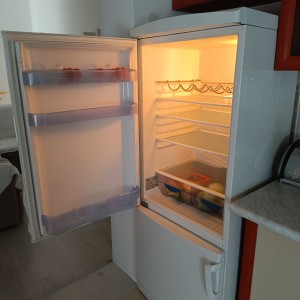 Gorenje kombinirani hladnjak