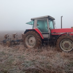 Massey ferguson 3115