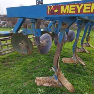 Gruber meyer