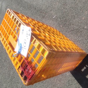 Talijanske gajbe kavezi za prijevoz peradi u dobrom stanju male LOT 49