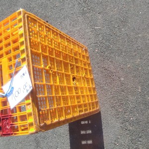 Talijanske gajbe kavezi za prijevoz peradi u dobrom stanju male LOT 49