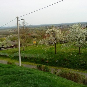 Križ, građevinsko zemljište 1.977 m2