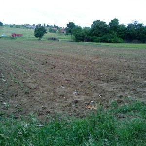 Križ, poljoprivredno zemljište 16.601 m2, moguća gradnja