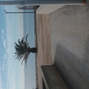 APARTMANI JEDRA 40 metara do plaže