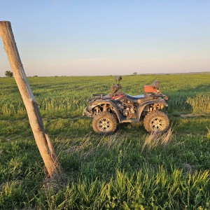 Quad linhai 500