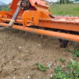 Roto brana Carraro