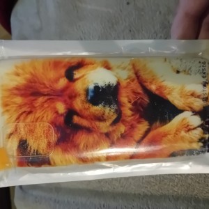 Čau čau