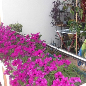 Stan: Koprivnica, 81,42 m2, novogradnja (prodaja)