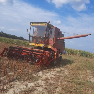 Zmaj 142