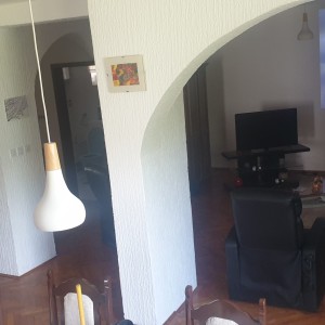 Prodajem Dom u Dalju