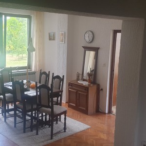 Prodajem Dom u Dalju