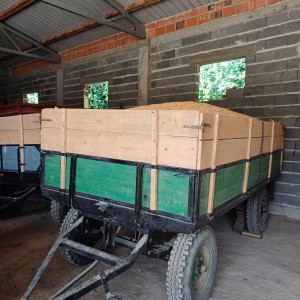 prodajem 7 prikolica kikinda 4t