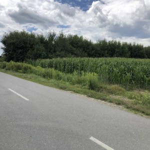 Tri zemljišta u blizini autoceste A3 kod Popovače, moguća zamjena