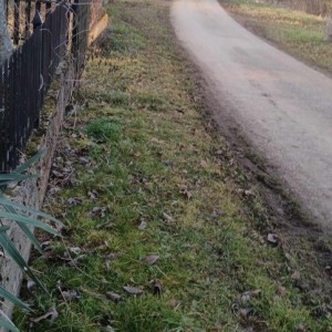 Prodajem Kljet