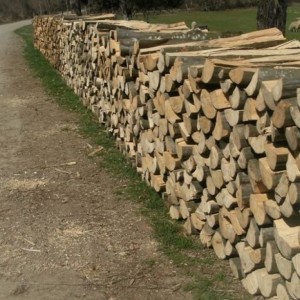 Prodajem Drva za ogrjev cjepanice Grab Bukva =65 €/ m, Hrast Agacija=55 €/m.info 099 8283924
