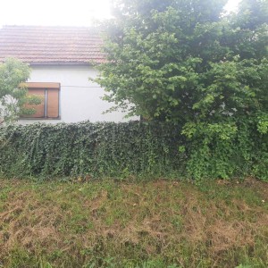 Prodajem kuću sa zemljištem, Borova, Suhopolje