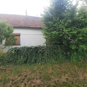 Prodajem kuću sa zemljištem, Borova, Suhopolje