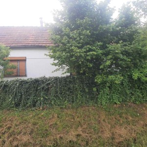 Prodajem kuću sa zemljištem, Borova, Suhopolje