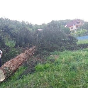 Nudimo usluge