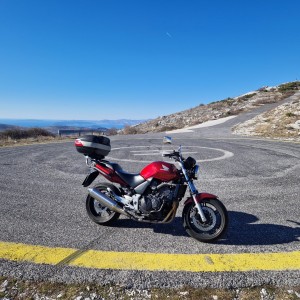 Honda CBF600N