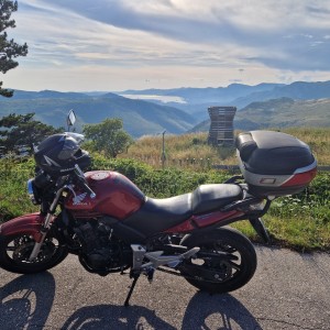Honda CBF600N