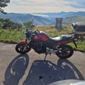 Honda CBF600N