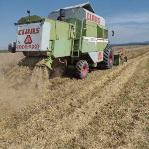 Prodajem Claas dominator 98 sl maxi